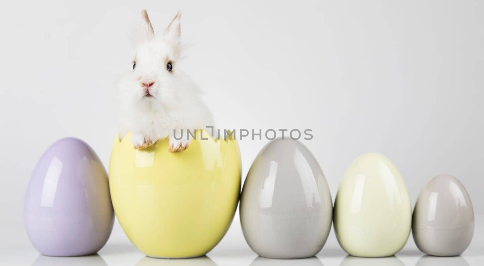 Eggs,Animal Baby bunny, happy easter background