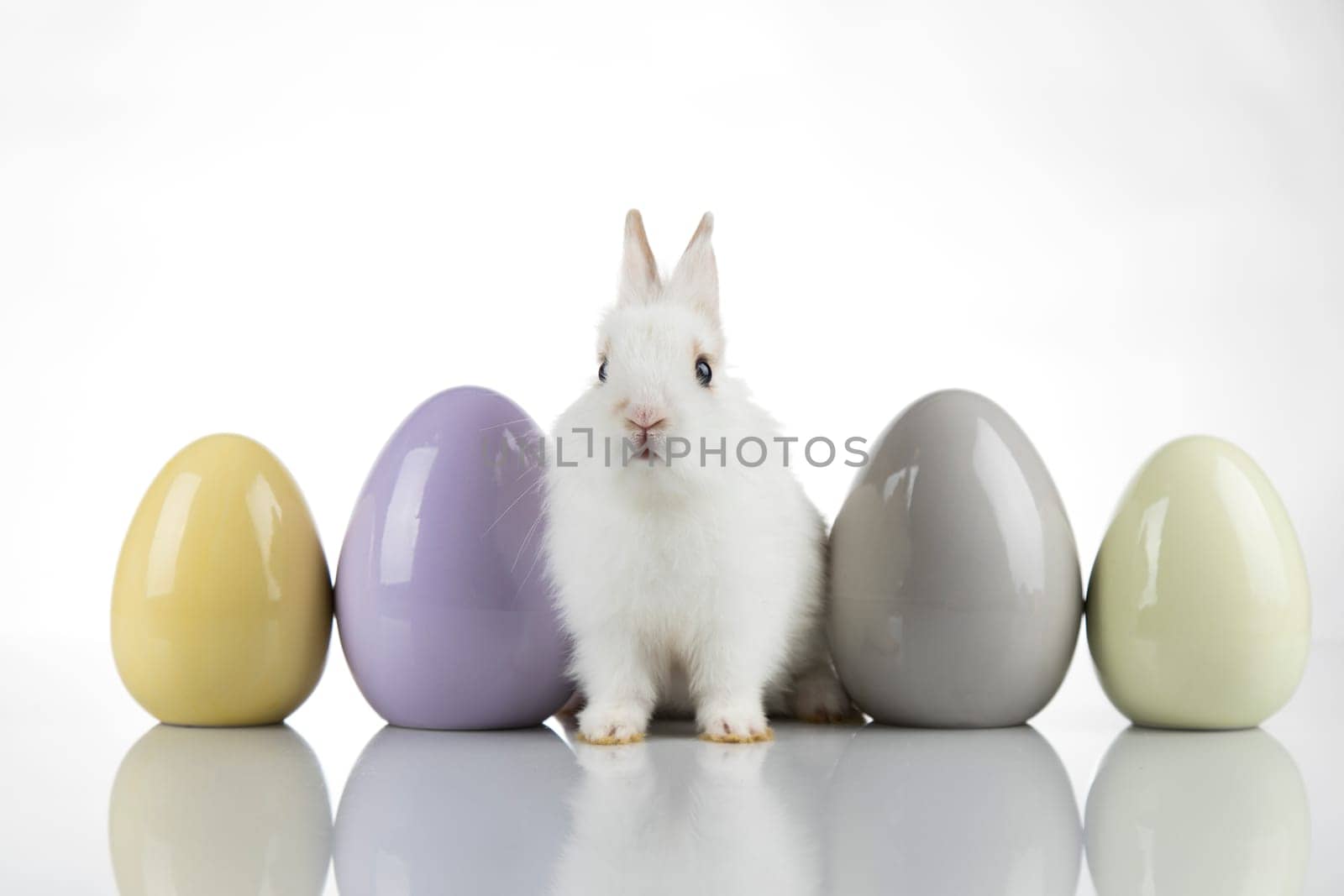 Baby bunny and egg, easter background