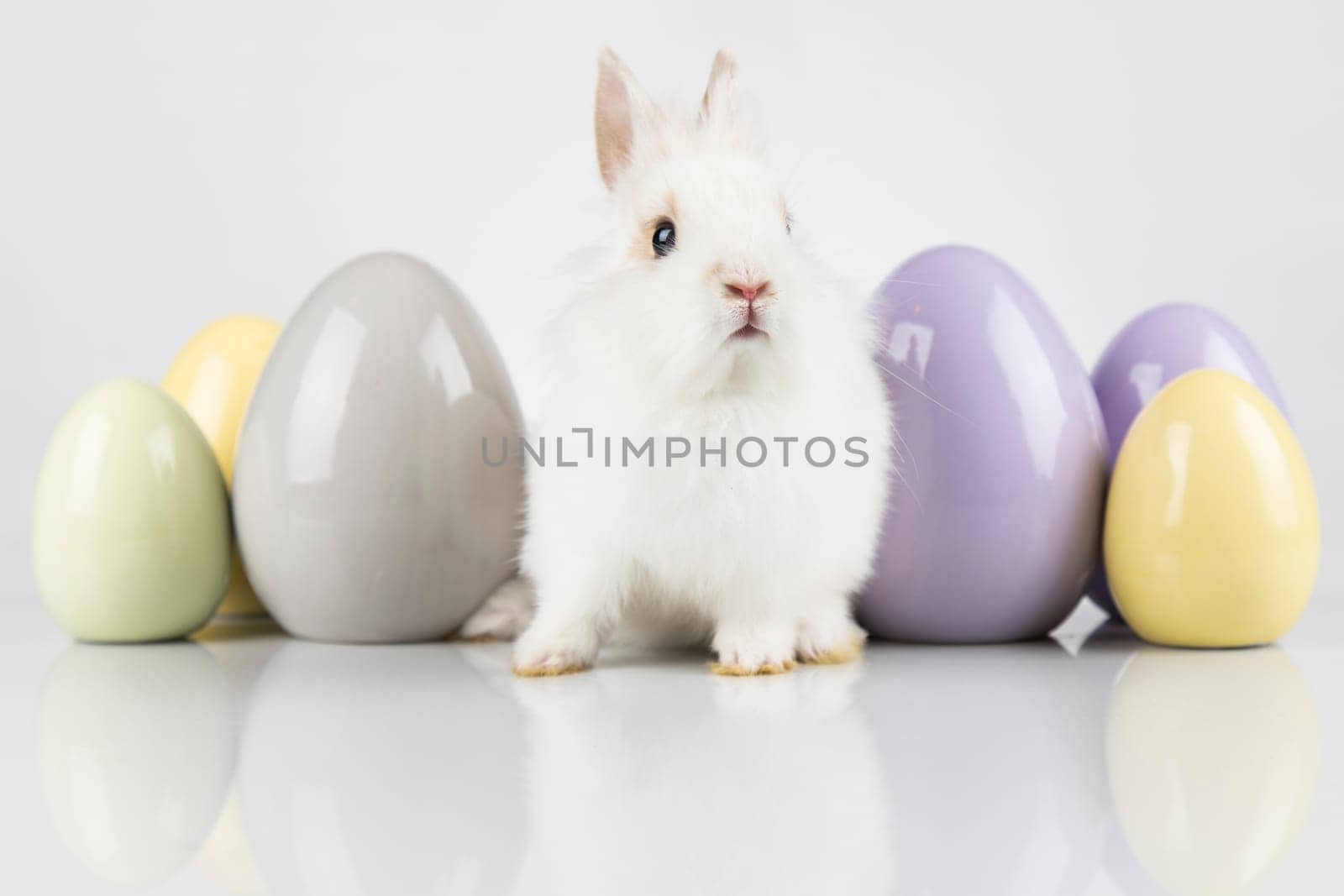 Egg,Little bunny, happy easter background