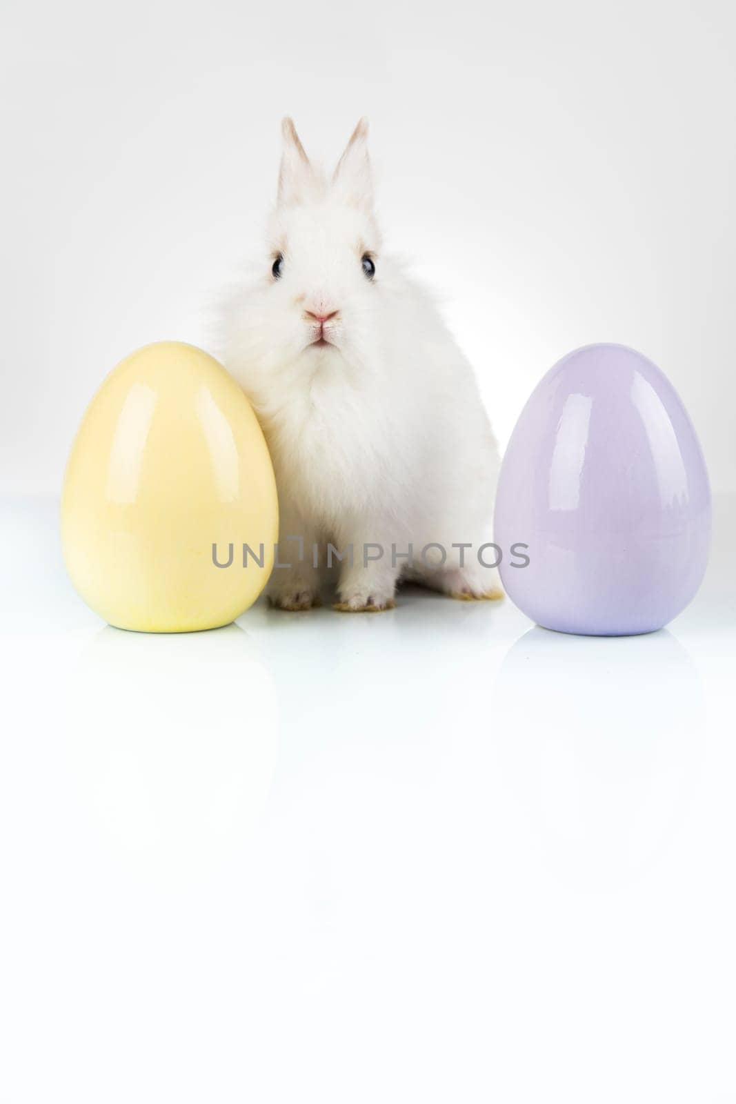 Baby bunny and egg, easter background