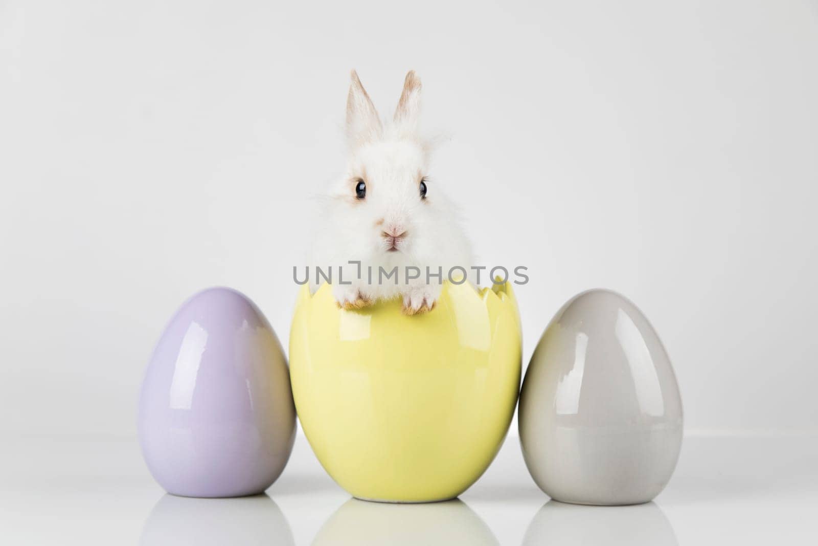 Eggs,Animal Baby bunny, happy easter background