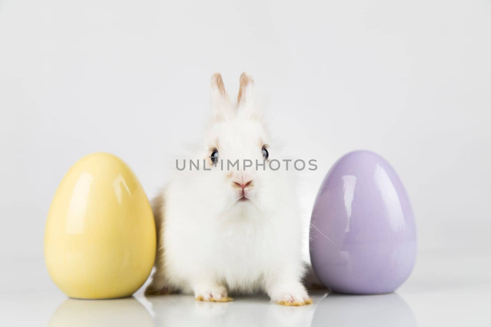 Baby bunny and egg, easter background