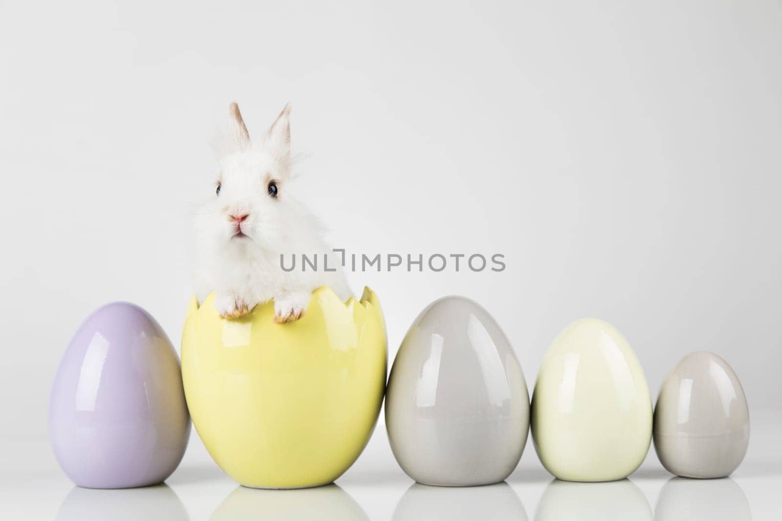 Eggs,Animal Baby bunny, happy easter background