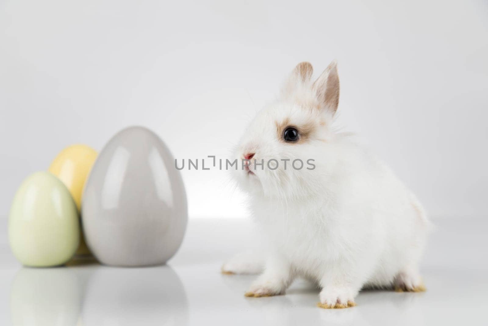 Egg,Little bunny, happy easter background