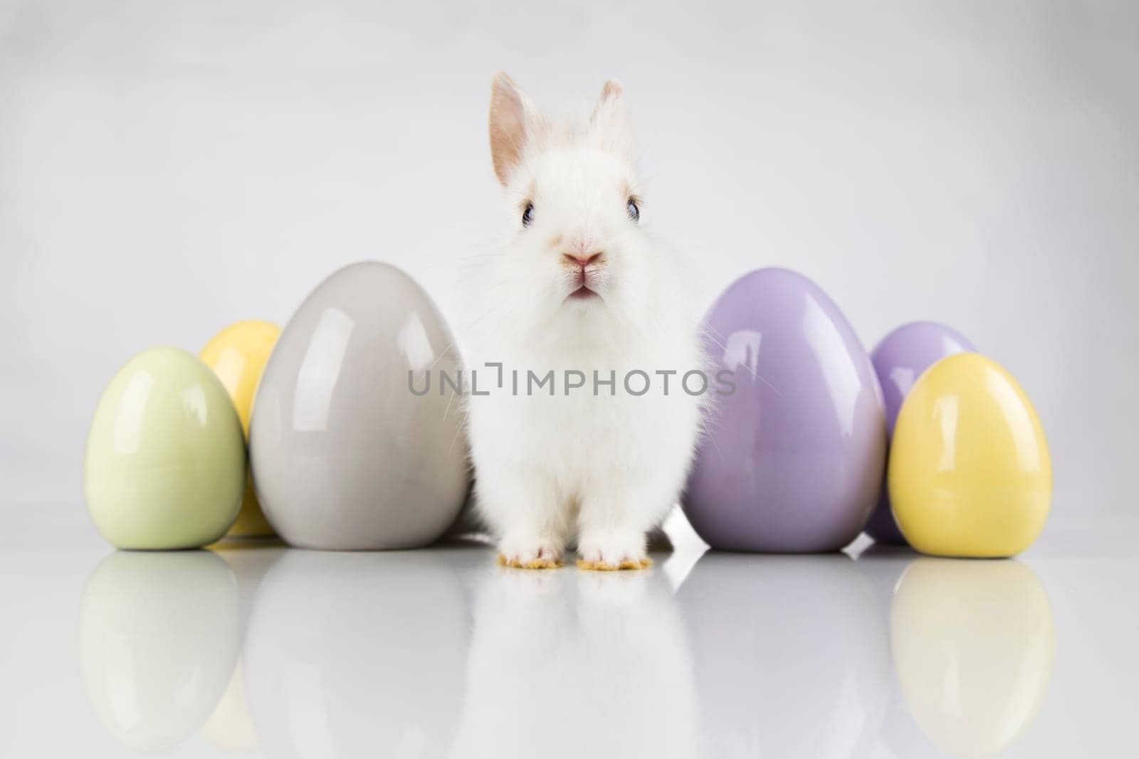 Egg,Little bunny, happy easter background