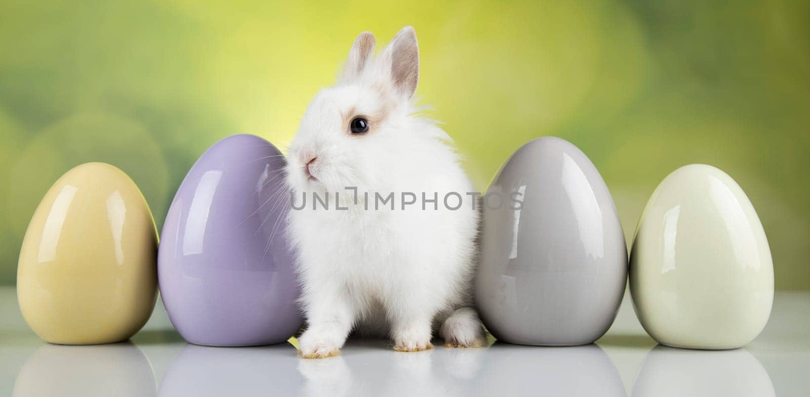 Baby bunny and egg, easter background