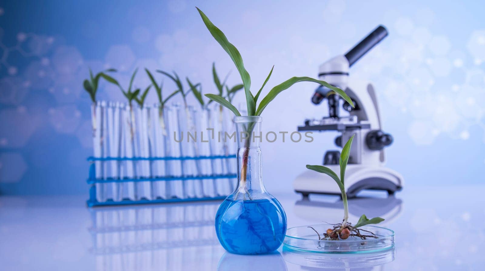 Microscope, Chemical laboratory glassware, Genetically modified plant