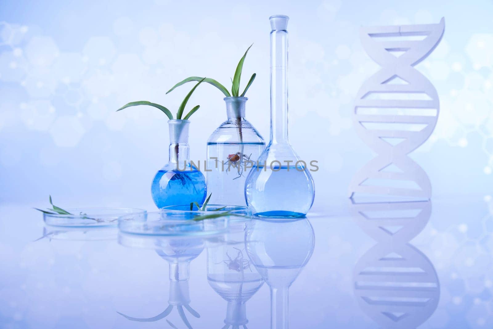 Plant laboratory experimental, Chemical glassware