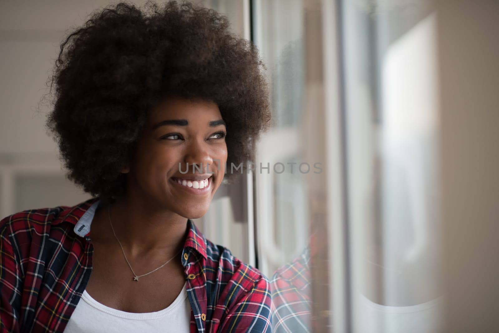 portrait of a young beautiful African American woman with curly hair near the window