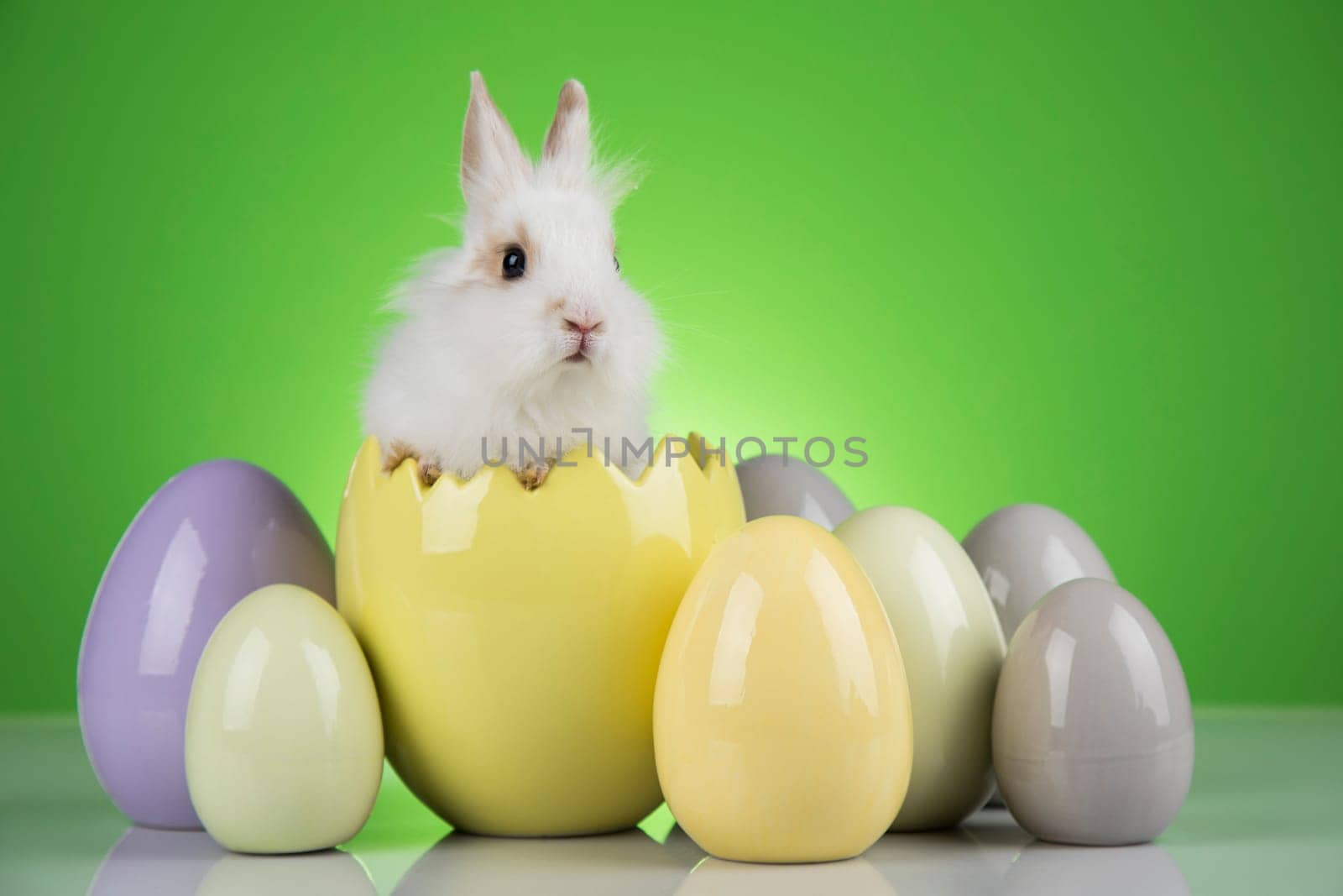 Egg,Little bunny, happy easter background