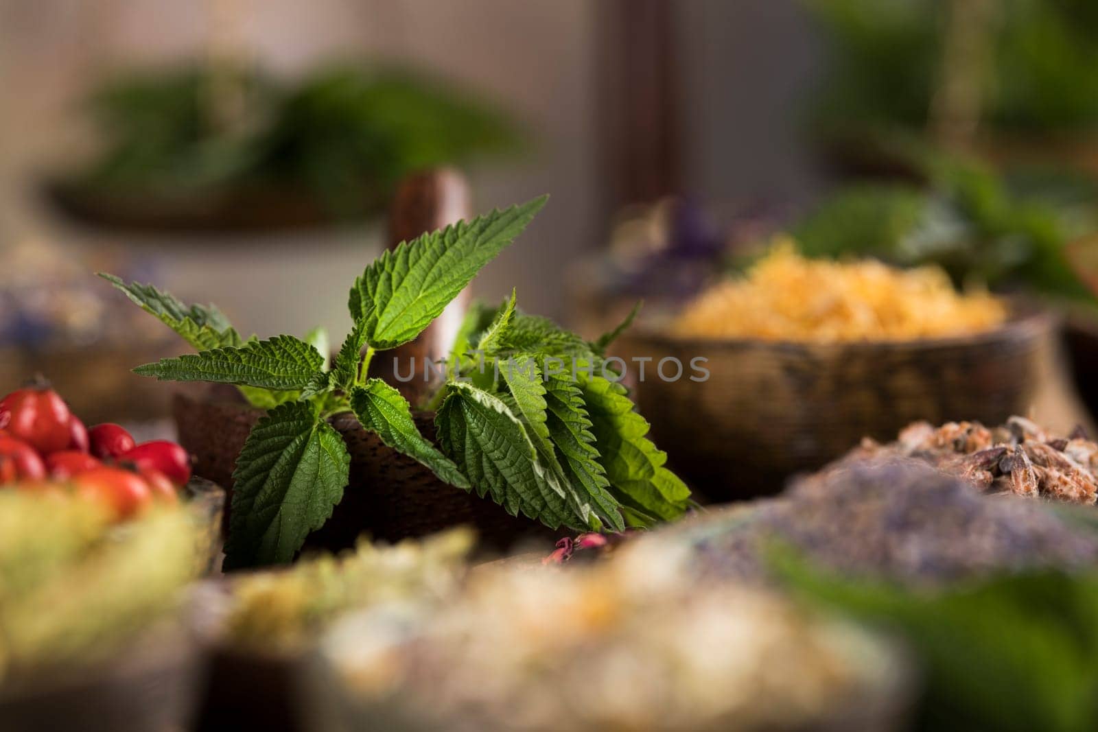 Homeopathy, herbal medicine on wooden table