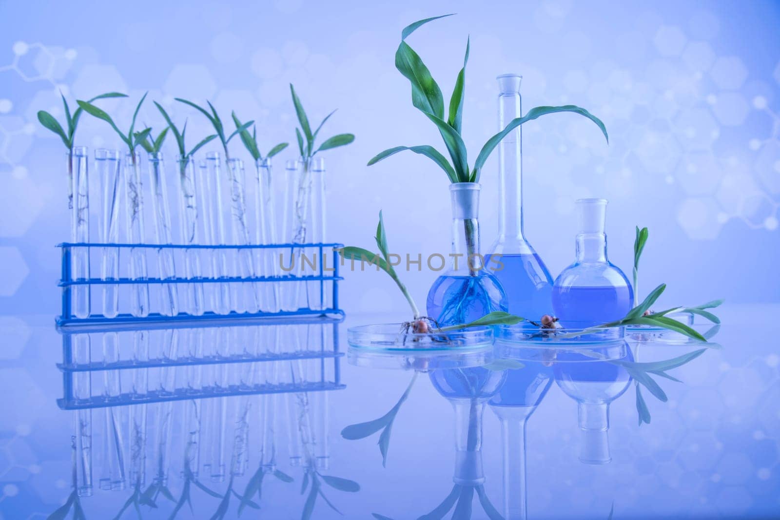 Plant laboratory experimental, Chemical glassware