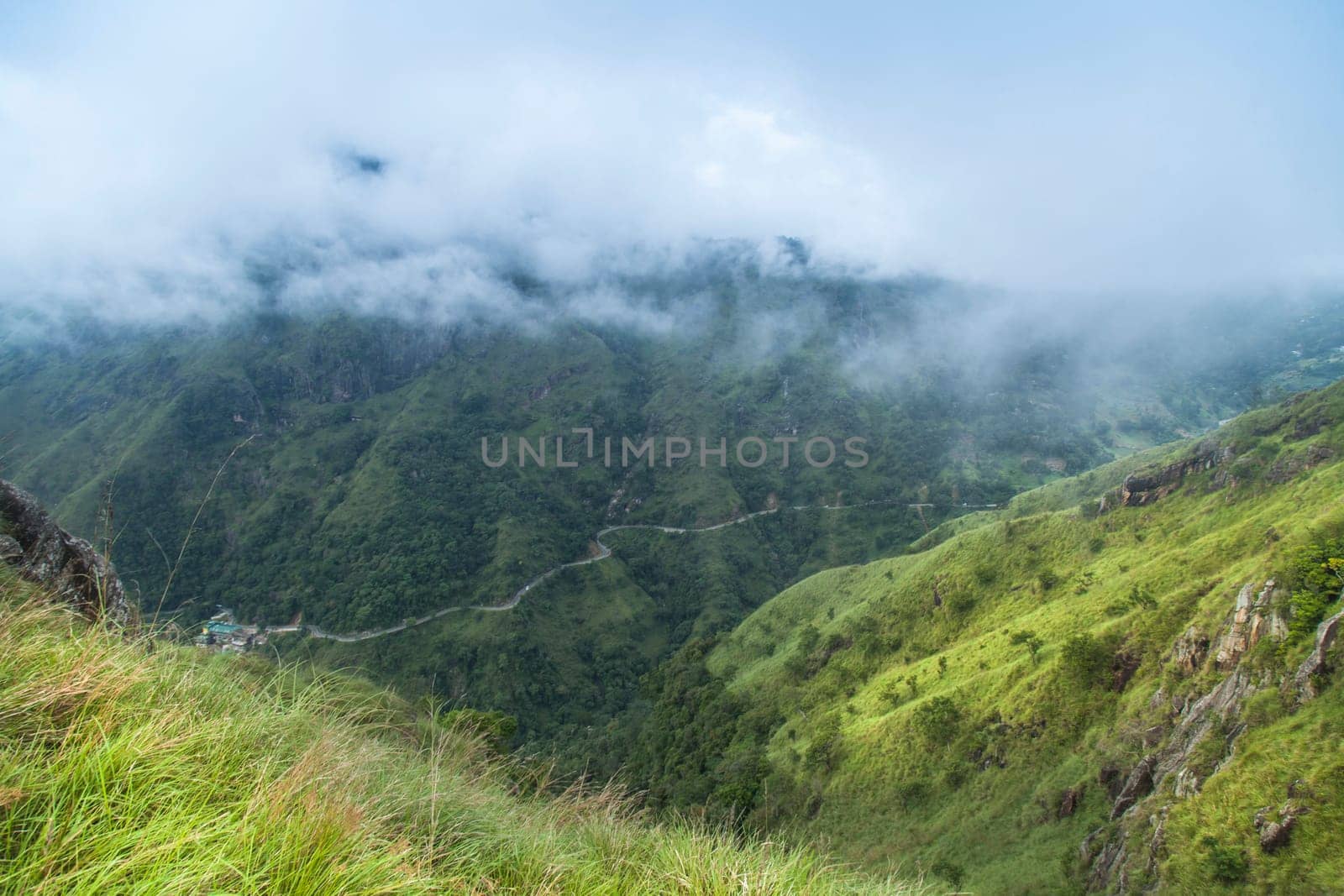 Sri lanka, Asia, Beautiful fresh green tea plantation