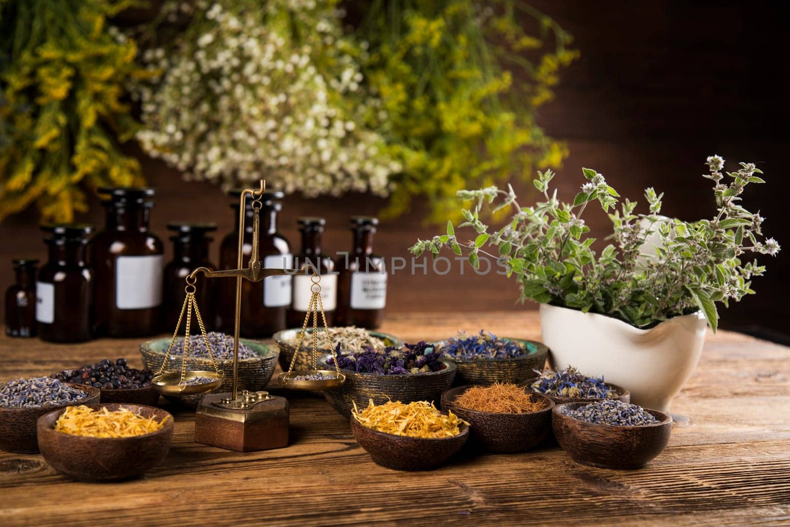 Natural remedy, healing herbs background