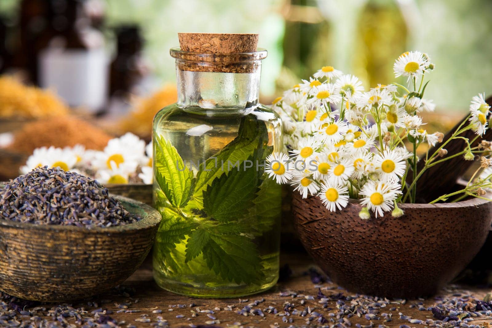 Homeopathy, herbal medicine on wooden table