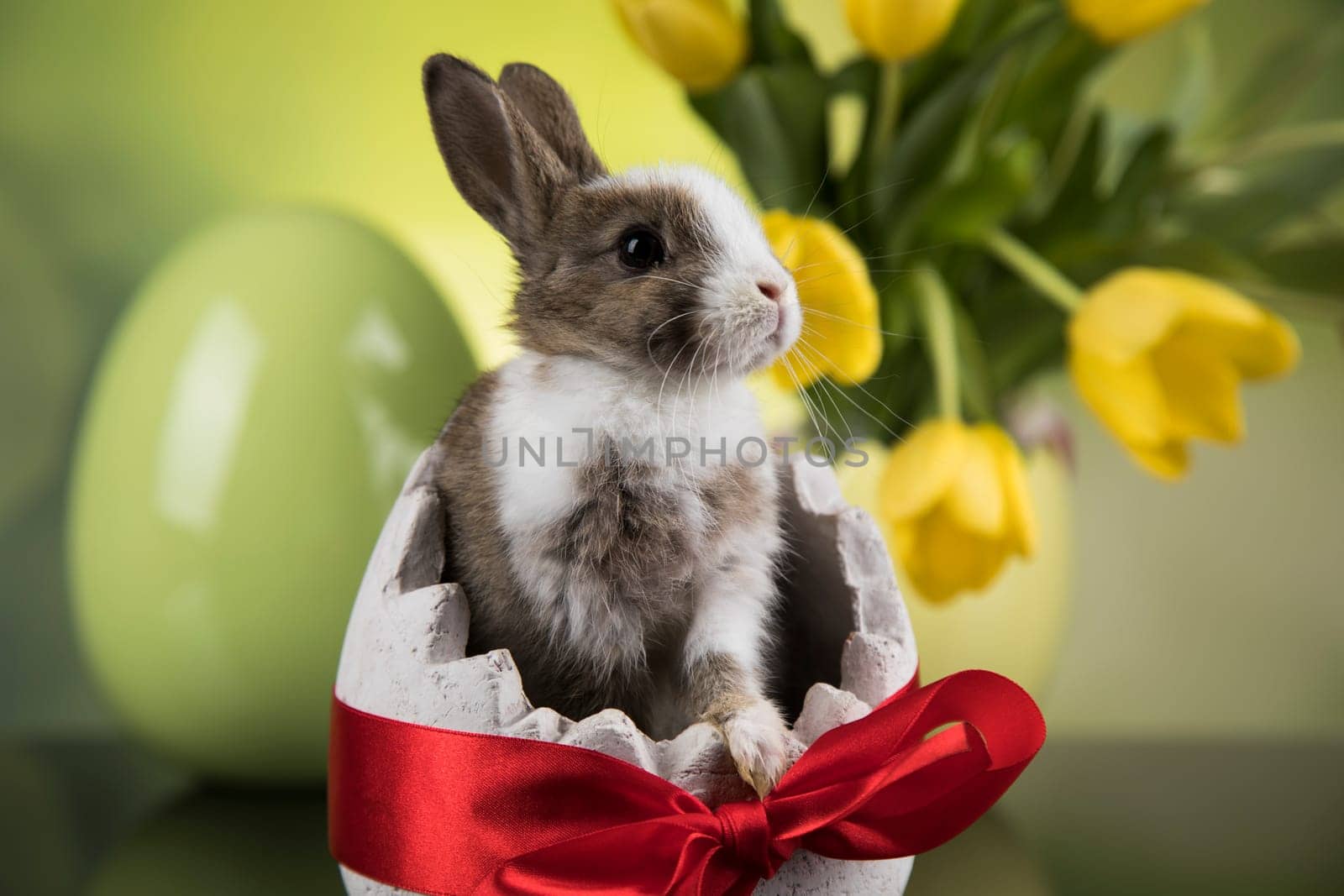 Spring baby bunny, happy easter background