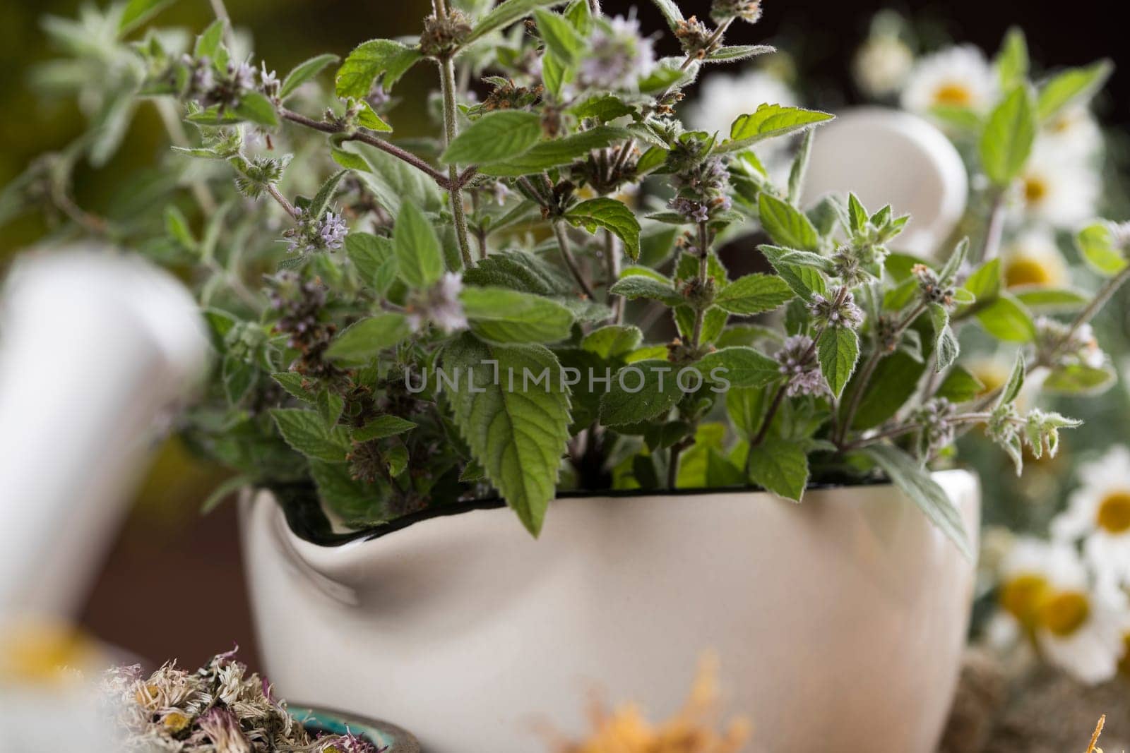 Mortar with herbs and oil on wooden table