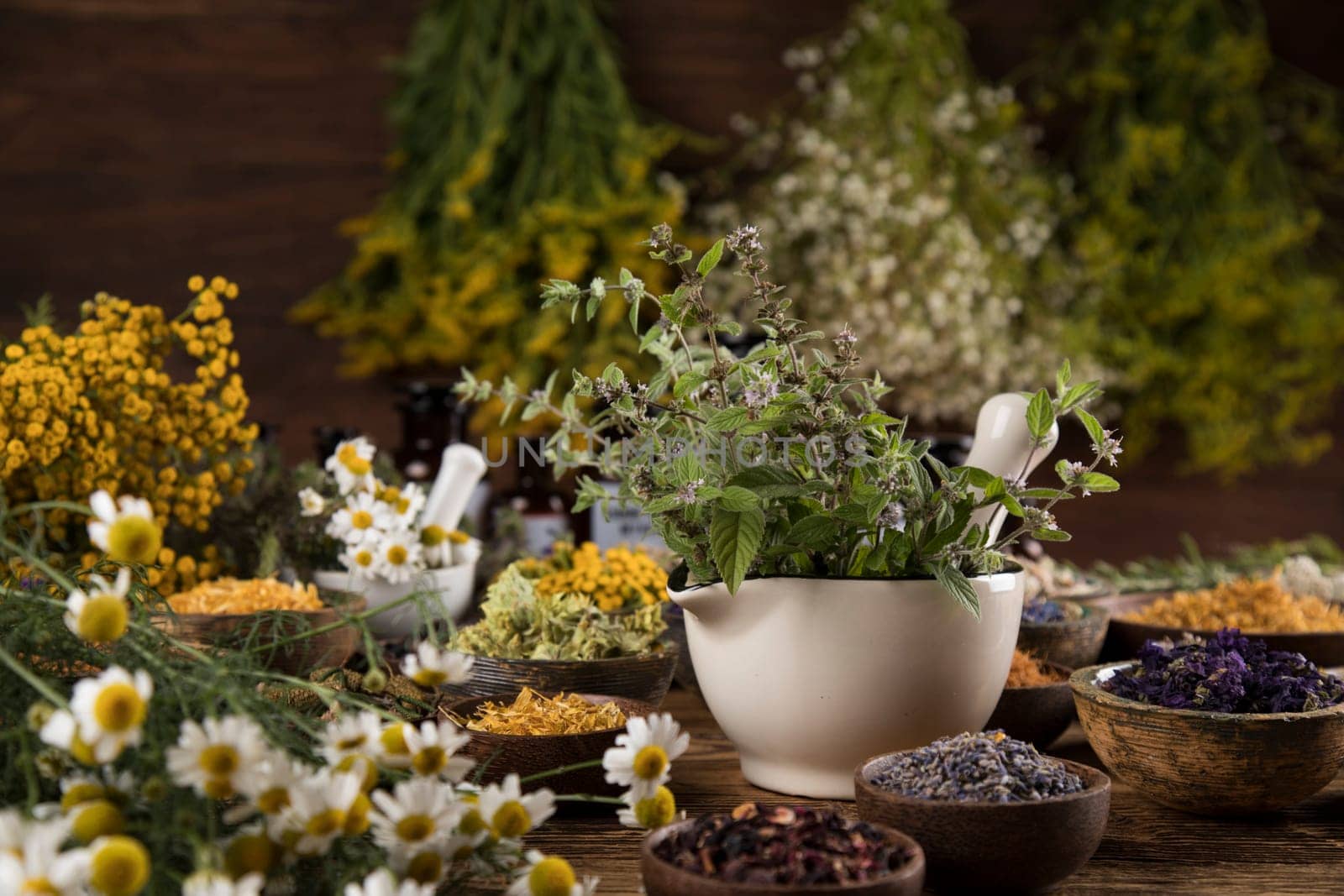 Alternative medicine, dried herbs background