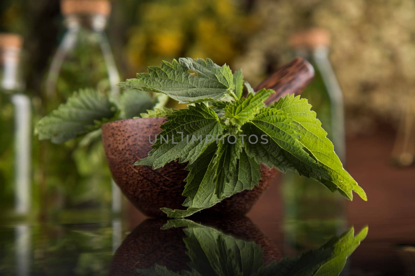 Alternative health, fresh herbal and mortar in black mirror background
