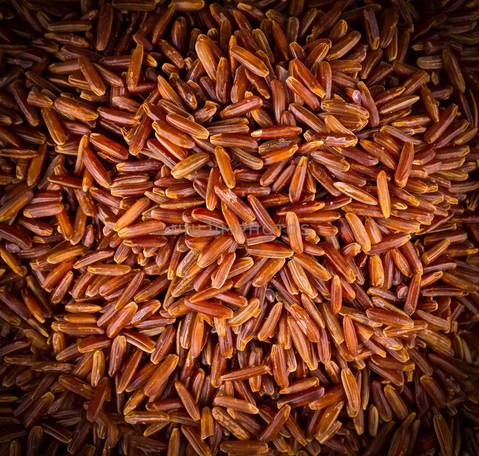 The close up texture of raw brown rice. Background.