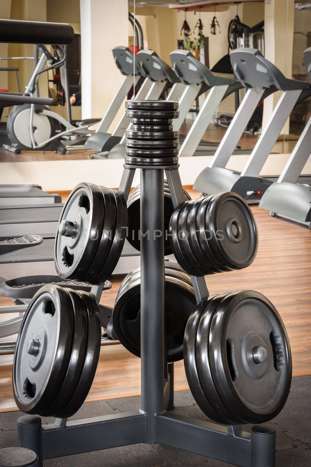Barbell plates holder rack in the gym