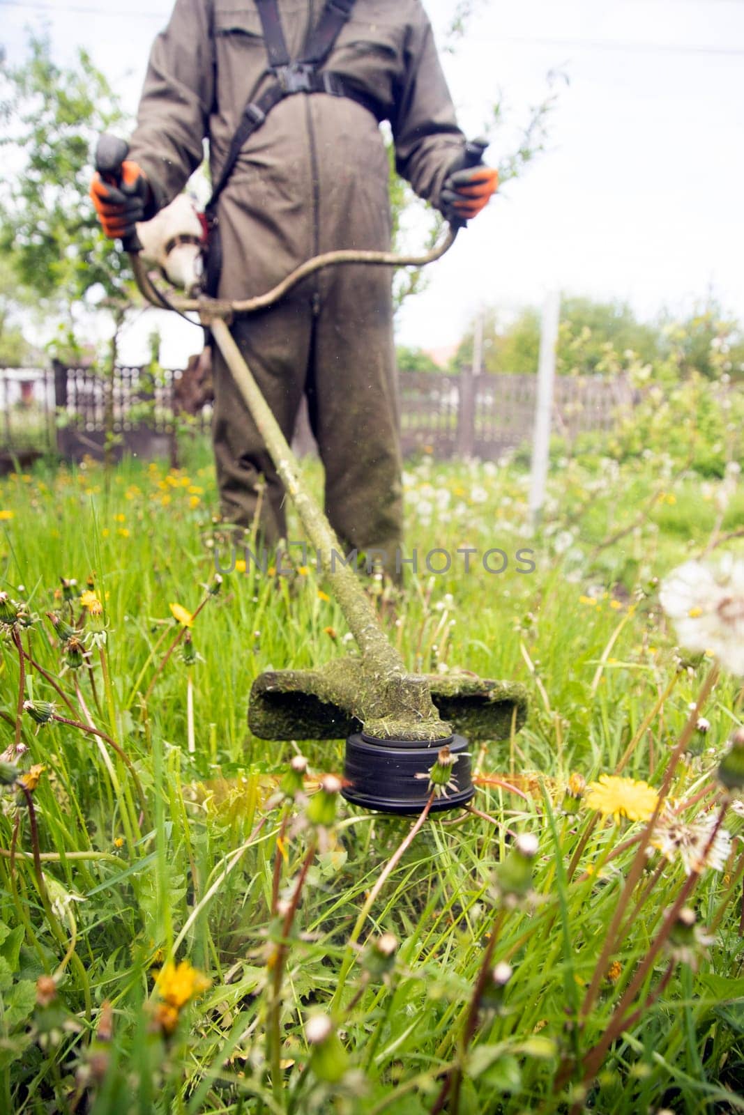 Mowing the grass with a lawn mower. Garden work concept background.