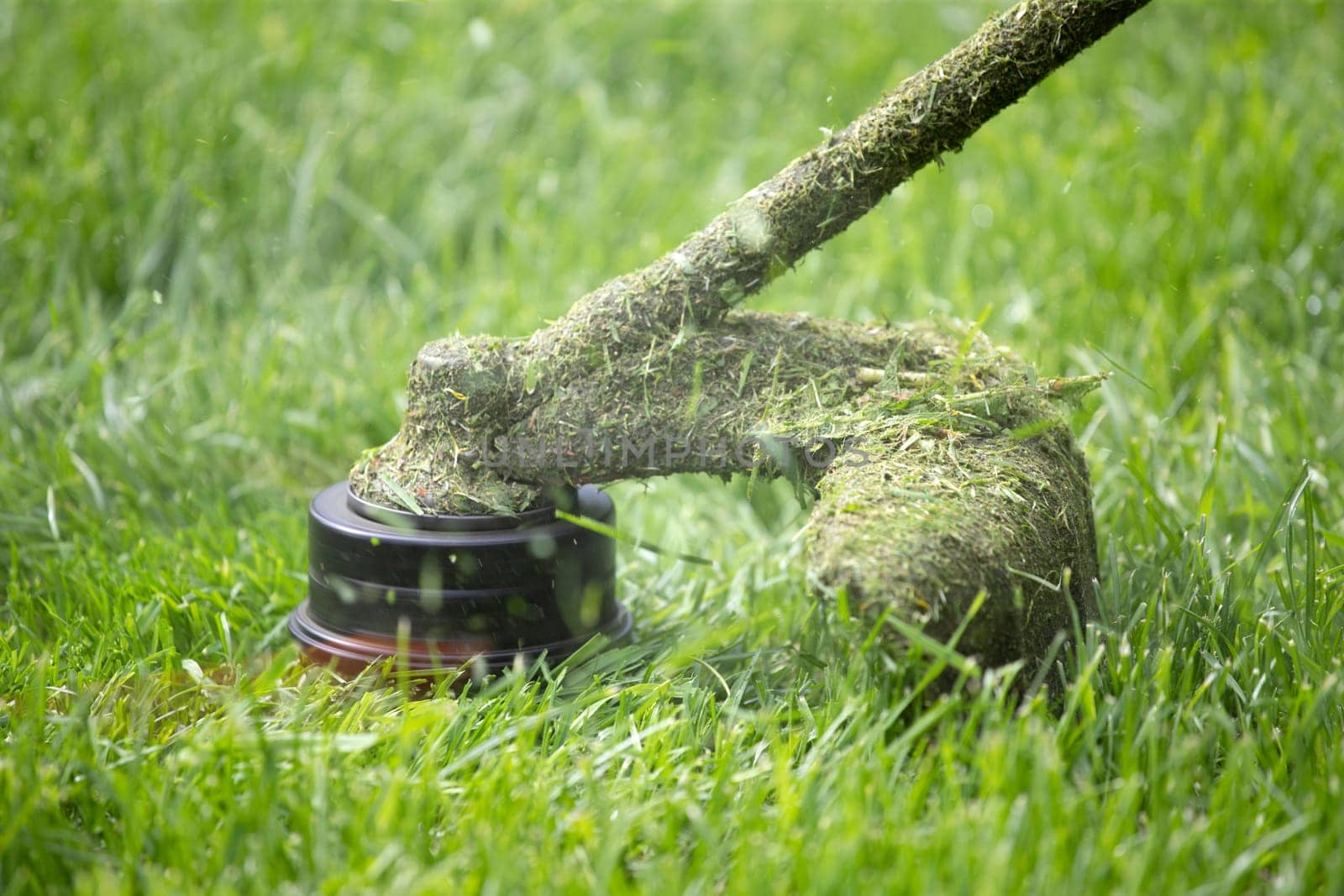 Mowing the grass with a lawn mower. Garden work concept background.