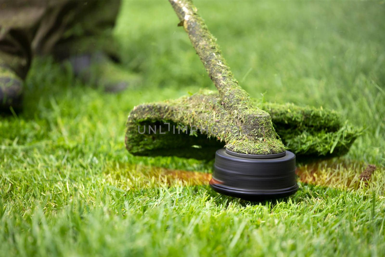 Mowing the grass with a lawn mower. Garden work concept background.