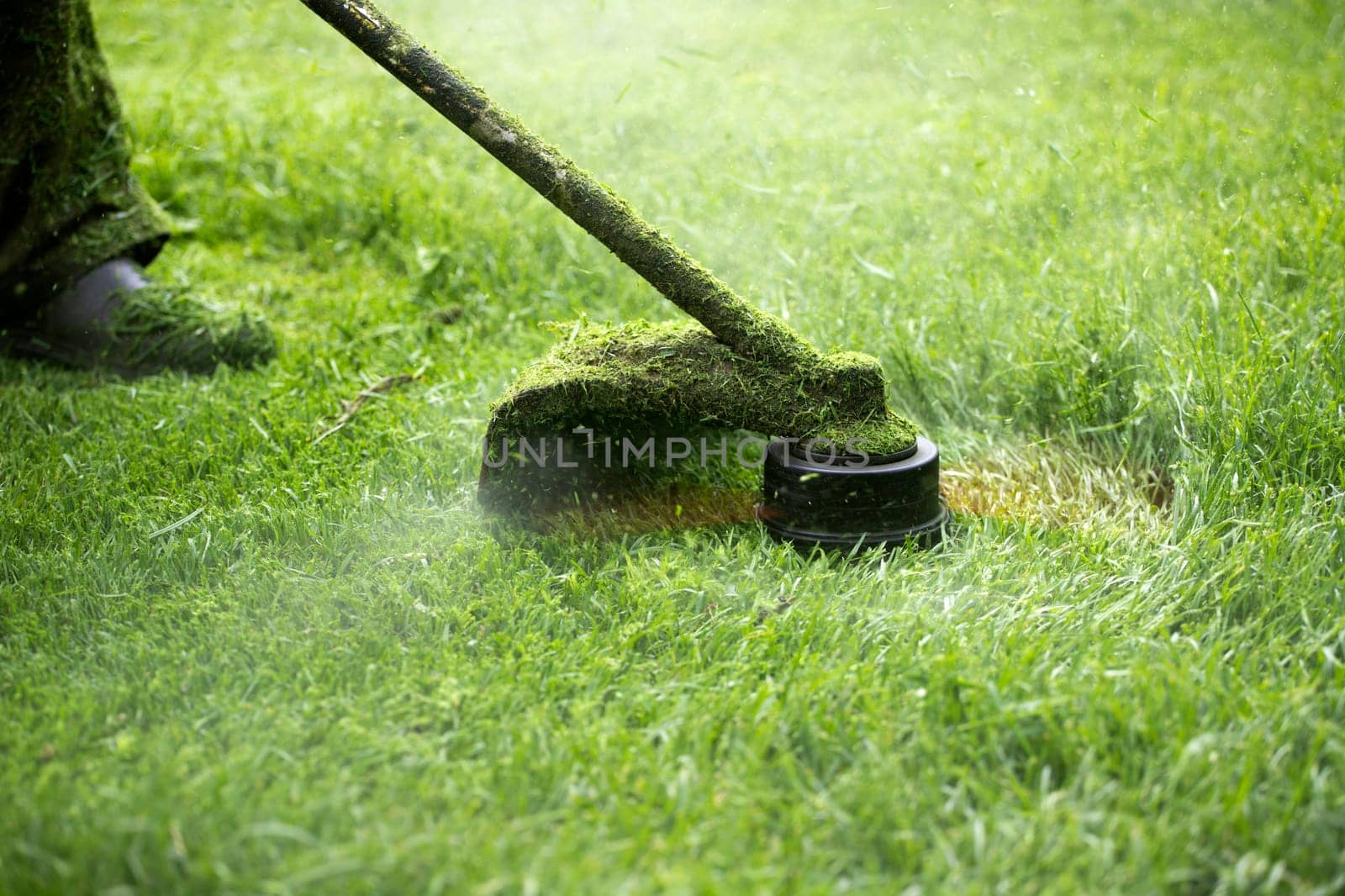Mowing the grass with a lawn mower. Garden work concept background.