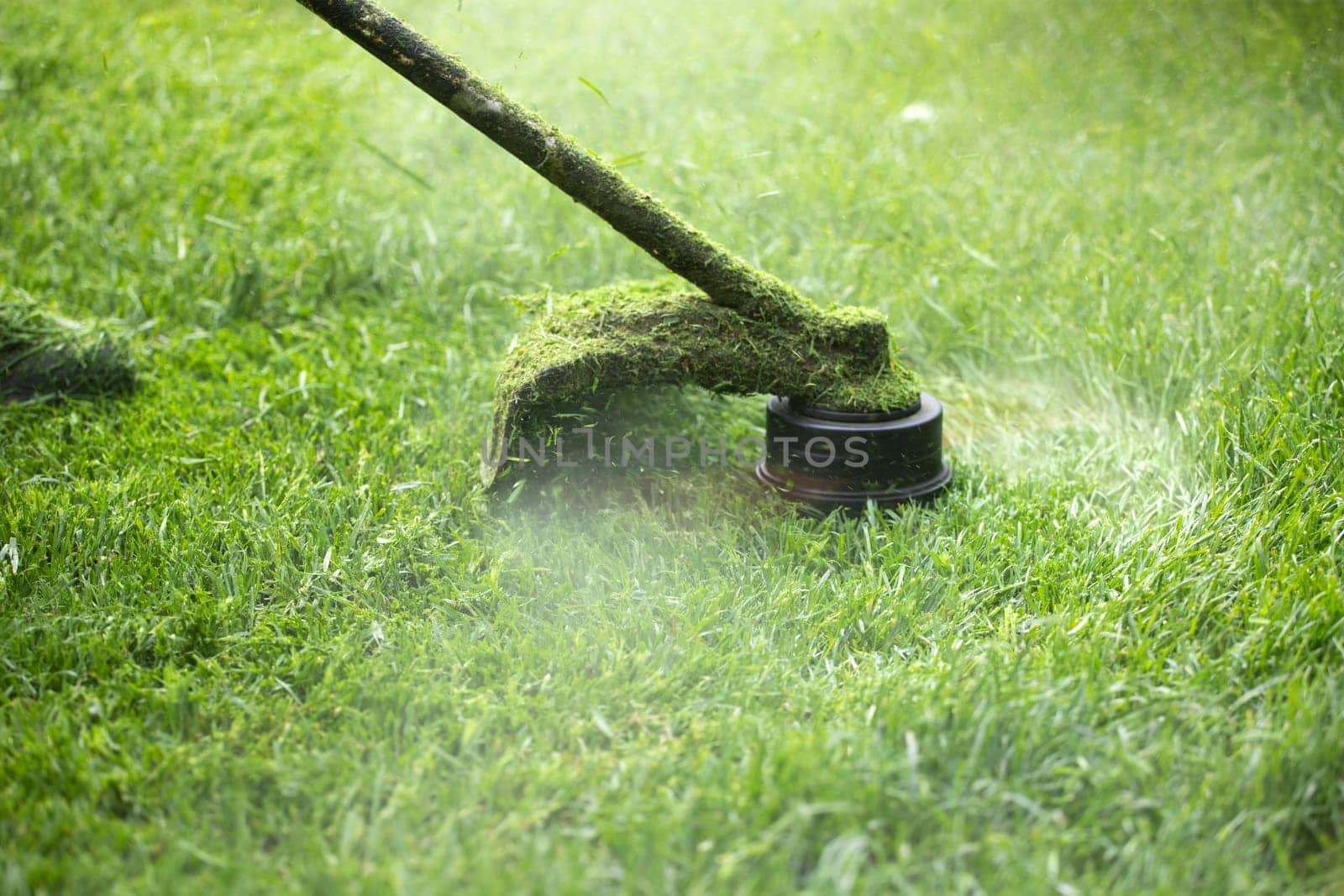 Mowing the grass with a lawn mower. Garden work concept background.