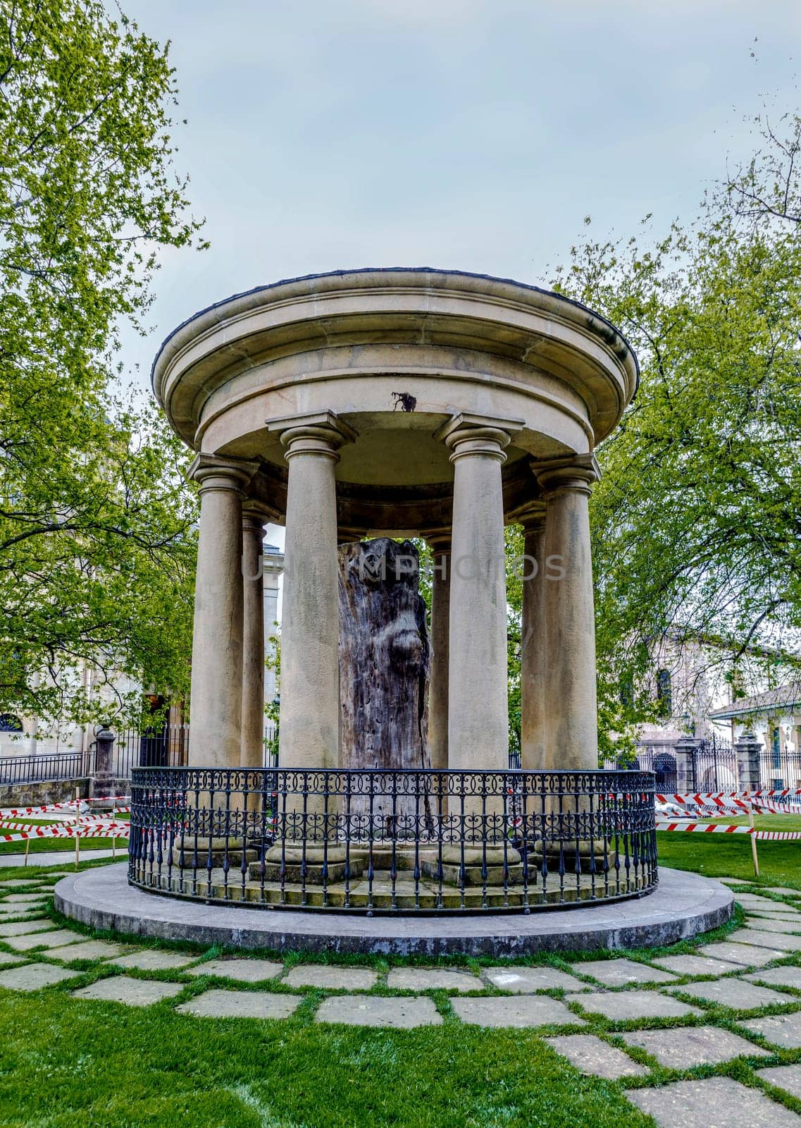 Guernica, Spain - April 09, 2018: The trunk of the "Old Tree"" of Gernika. Oak tree that symbolizes traditional freedoms for the Biscayan people, and by extension for the Basque people as a whole"