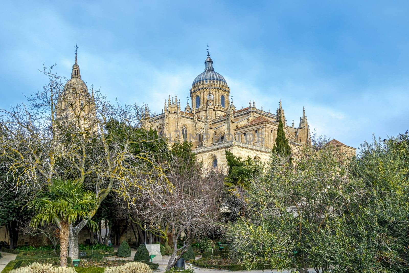 New Cathedral dome in the old city of Salamanca, a UNESCO world heritage site. Spain