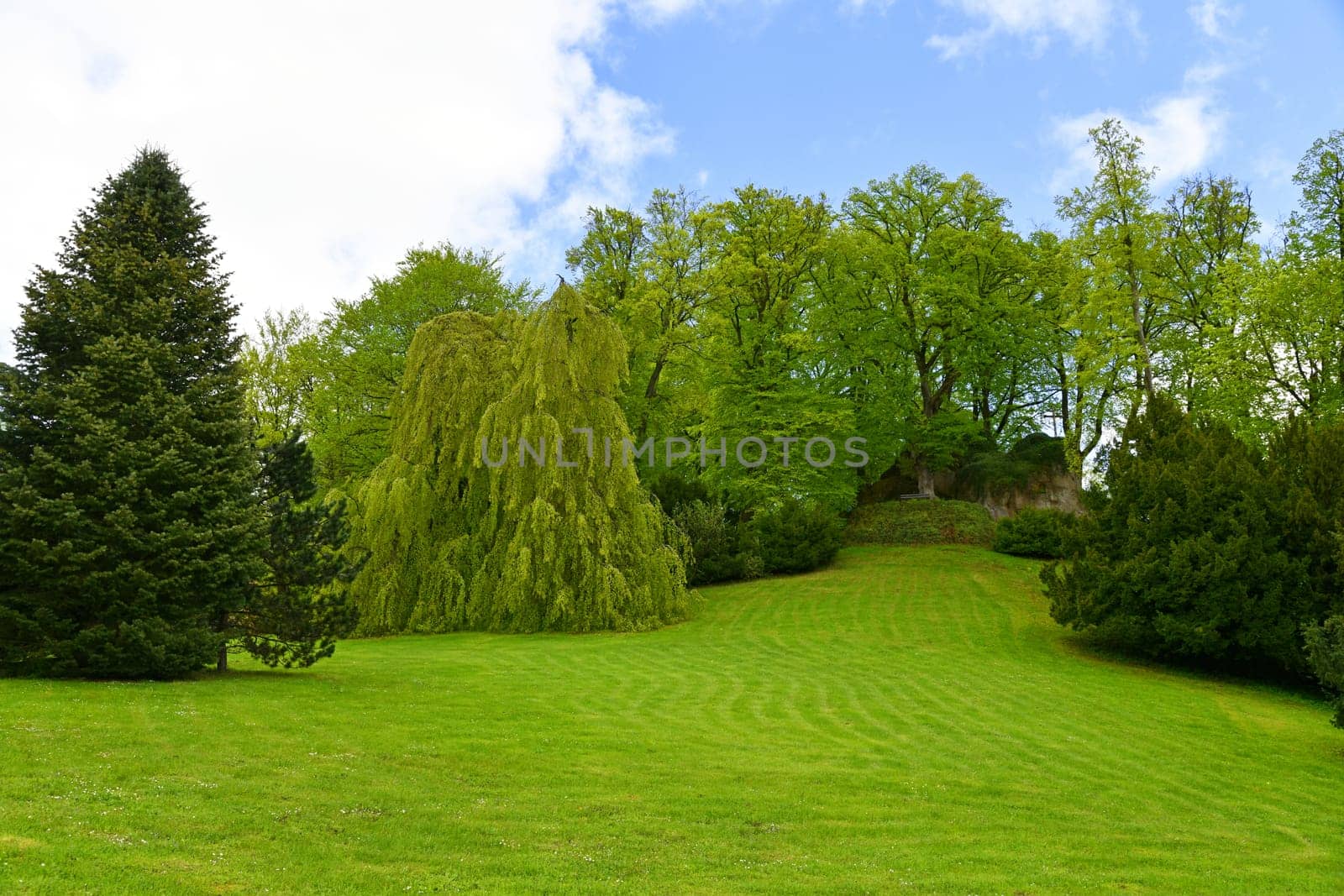 park in Altenstein Castle