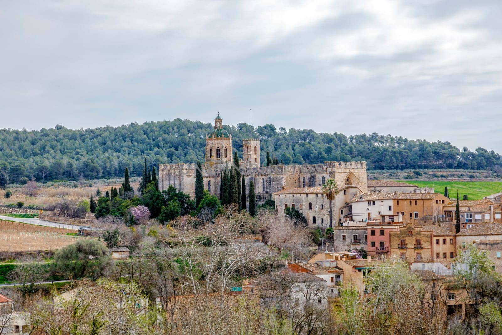 Monastery of Santa Maria de Santes Creus, Tarragona Spain