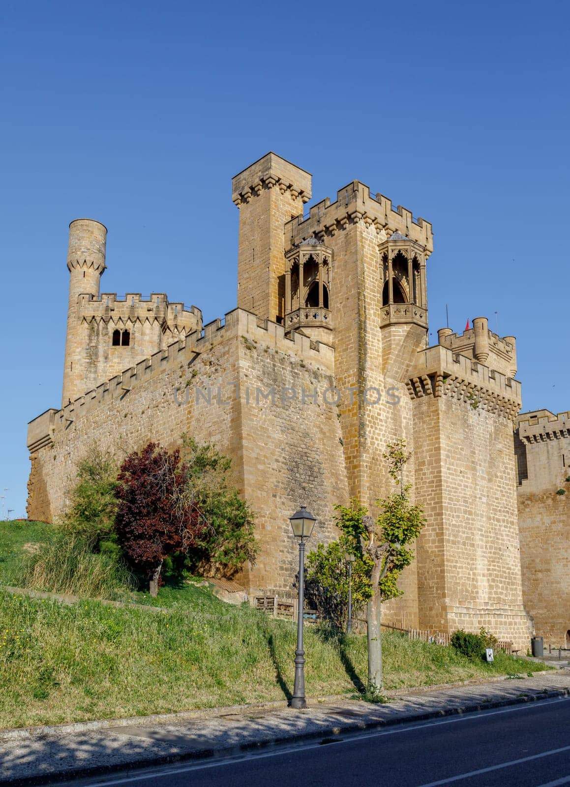 Palace Real in Olite. Is small town and municipality located in the Comarca de Tafalla in Navarre, Spain.