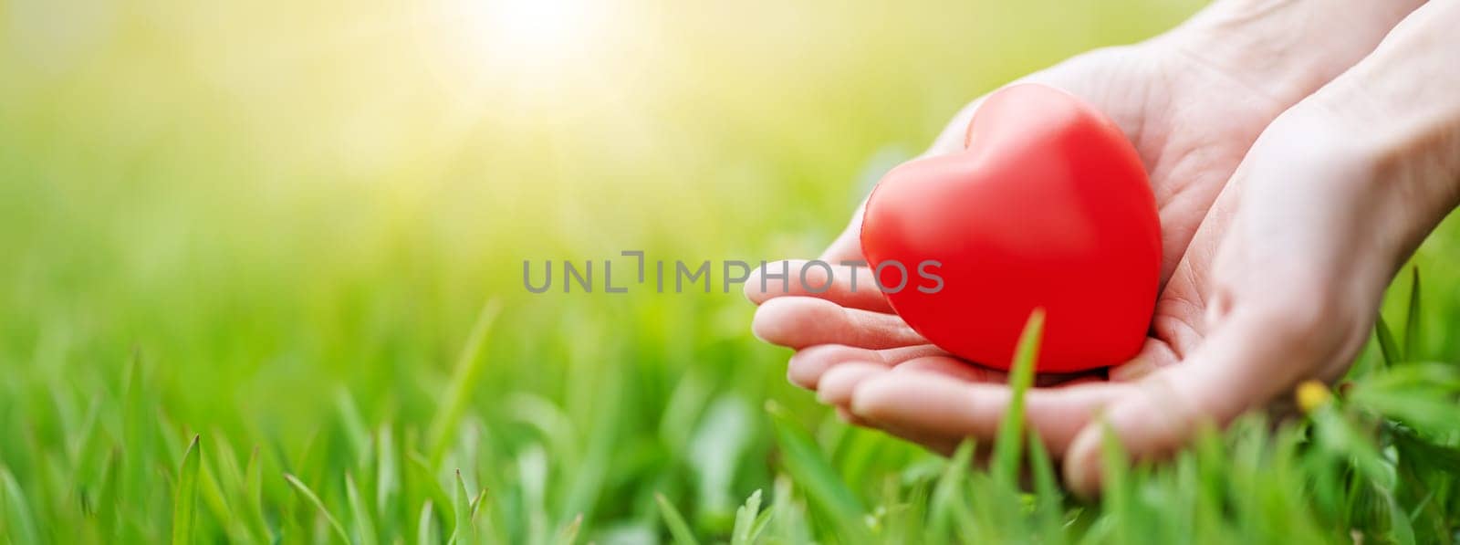 Woman hands holding red heart shape on the green grass background. Conceptual symbol of love of nature and people relationship.
