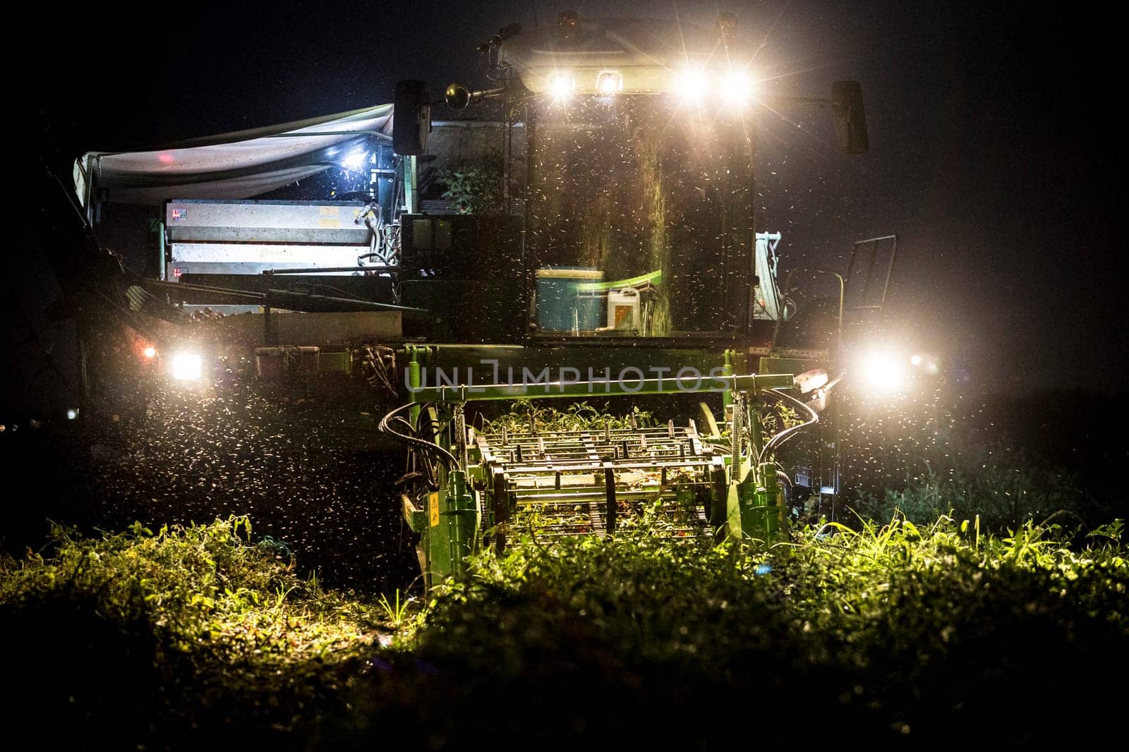 Tomato harvester working at night. Vegas Bajas del Guadiana, Spain