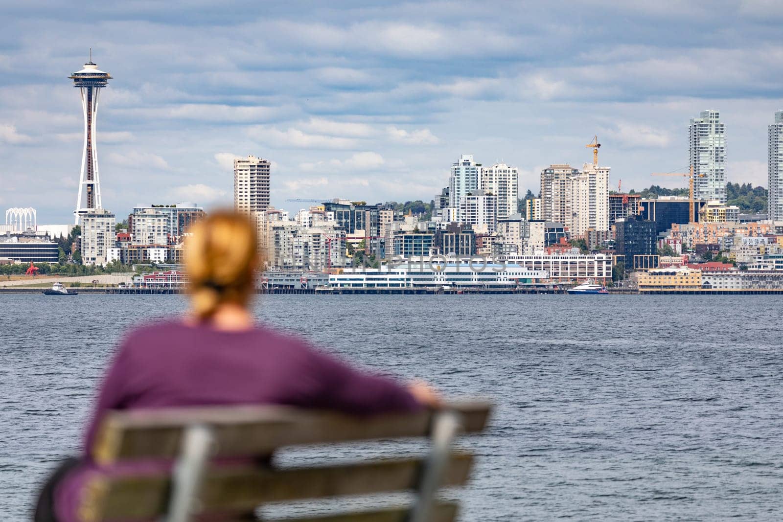 Woman Sitting on Bench Looking At The Seattle, Washington Skyline