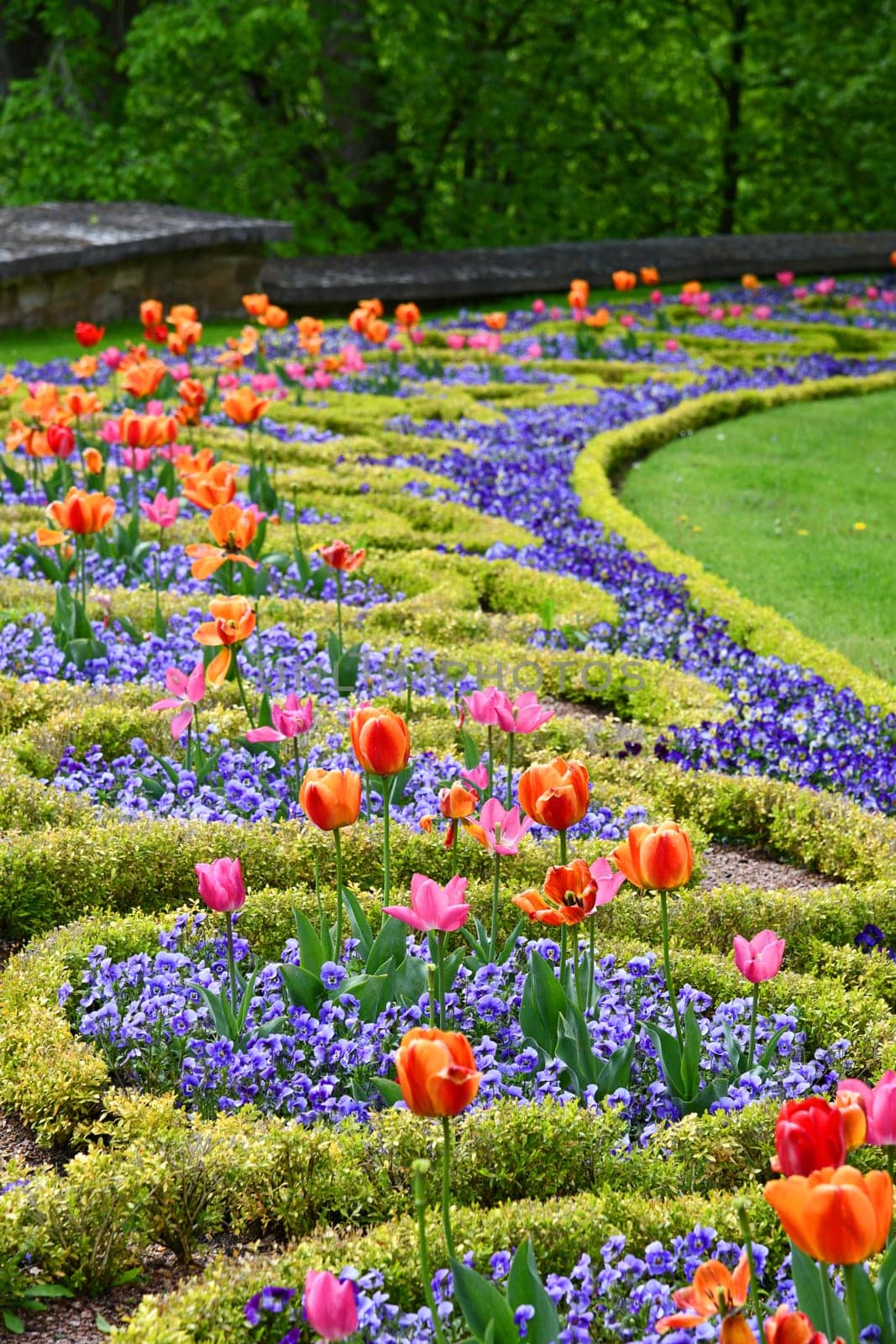 flowerbed
