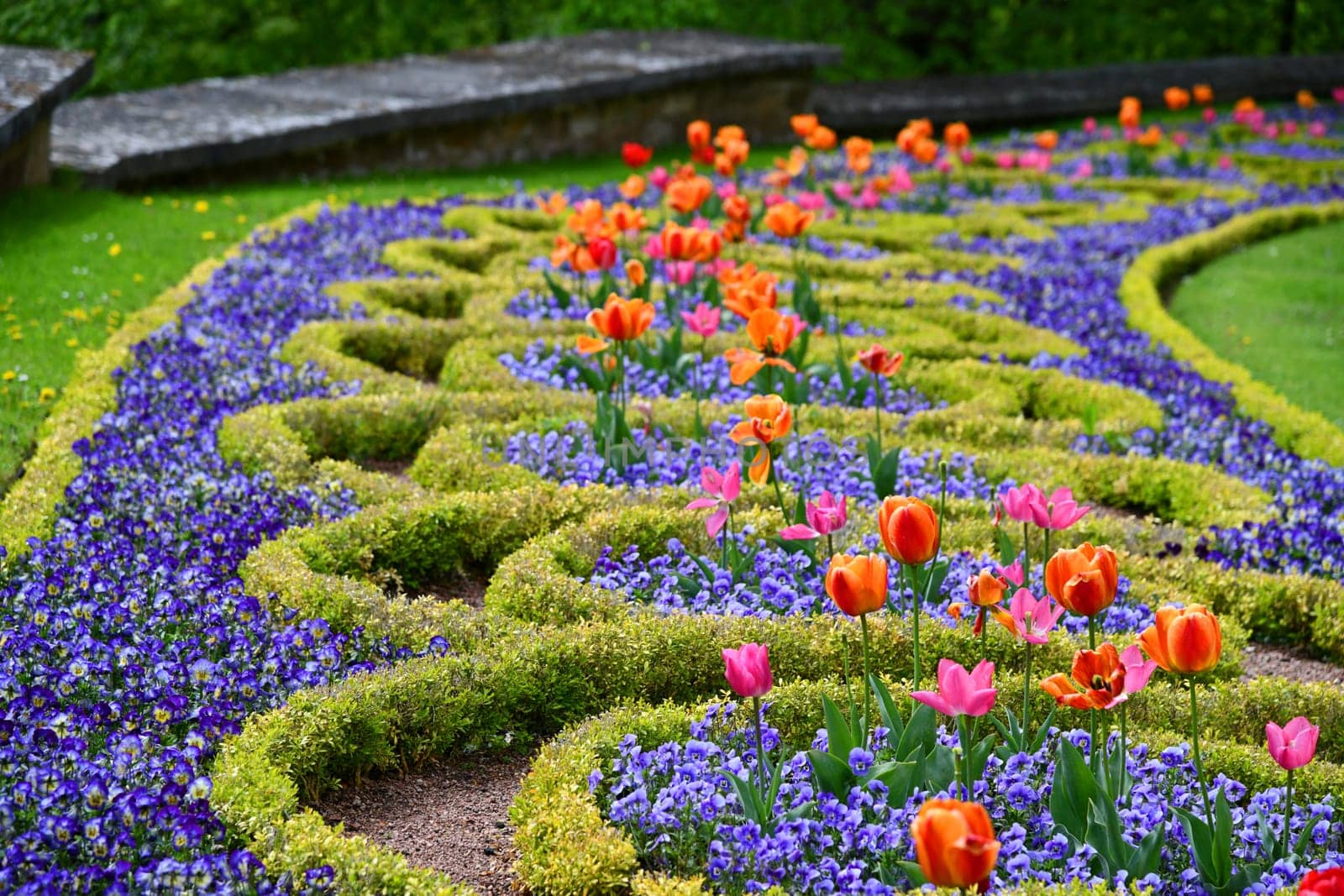 flowerbed
