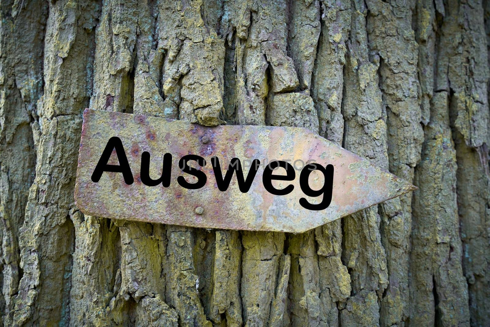 old rusty sign with the inscription way out (Ausweg) on a tree