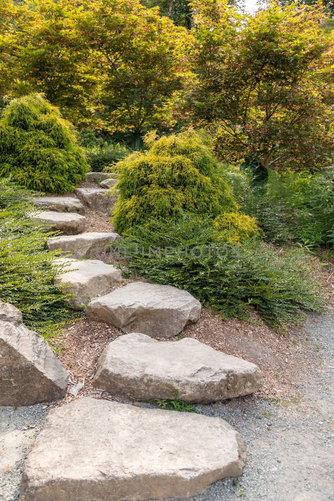 Beautiful Garden Setting With Stepping Stones