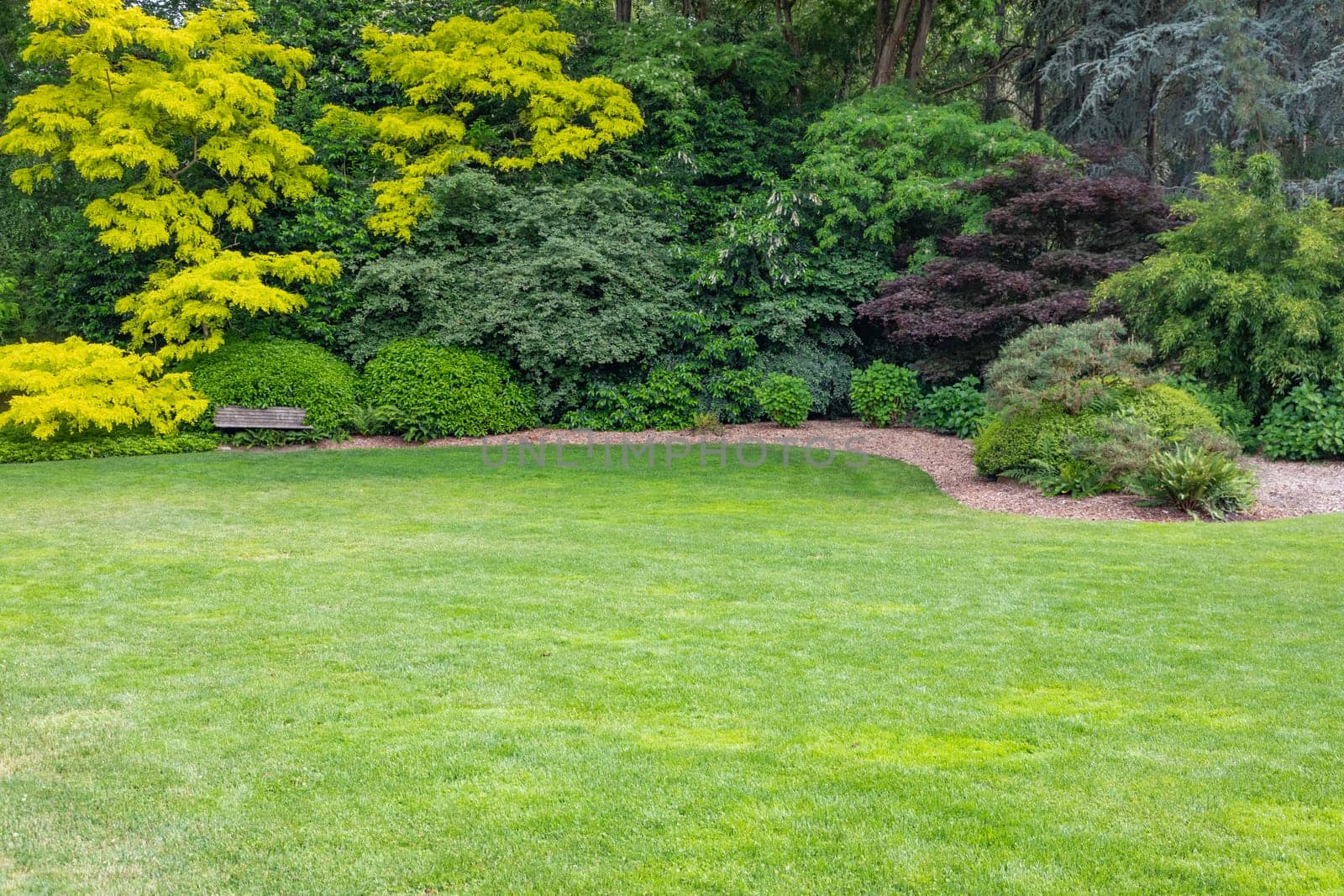 Beautiful Green Garden Setting With Wood Bench