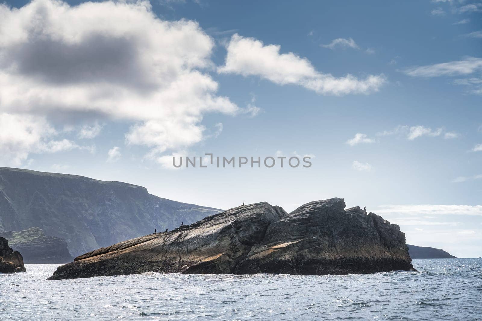 Silhouette of cormorant birds sitting on a rock with Kerry Cliffs in the background, Iveragh peninsula, Ring of Kerry, Wild Atlantic Way, Ireland