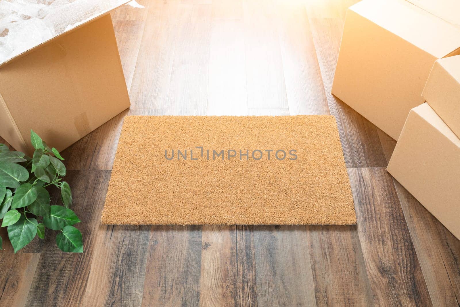 Blank Welcome Mat, Moving Boxes and Plant on Hard Wood Floors.