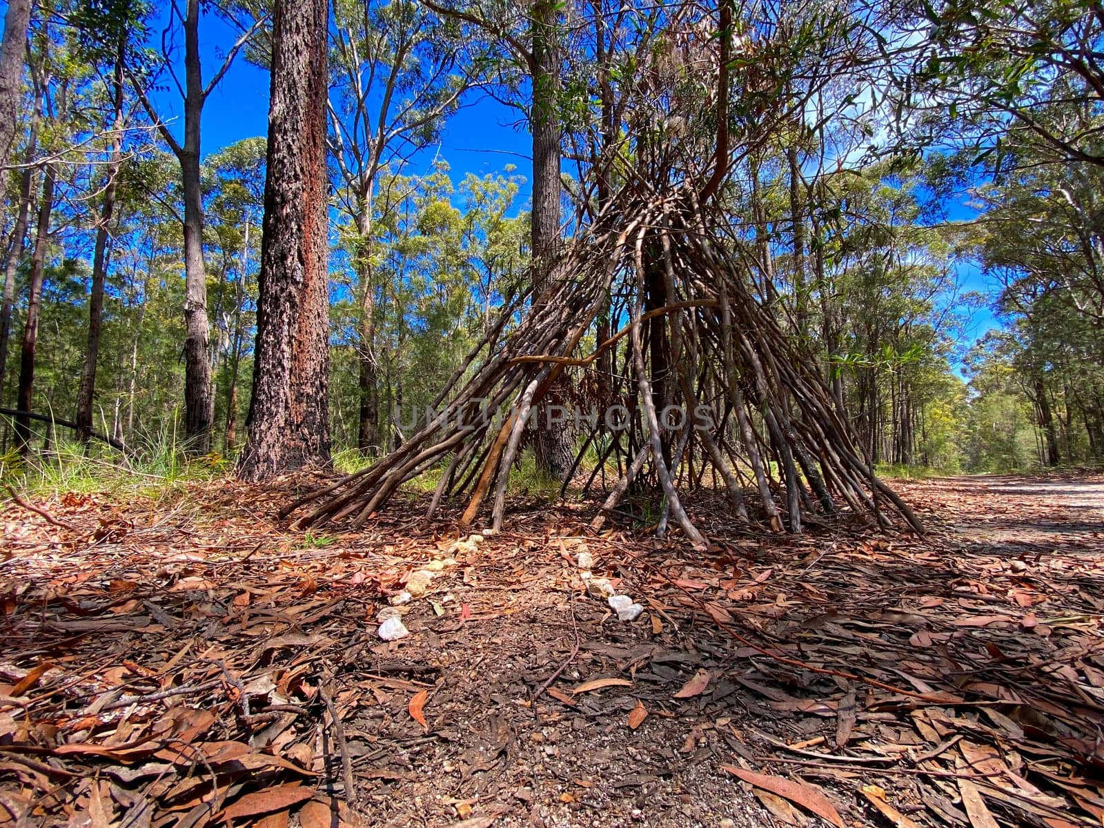 House Made of Sticks