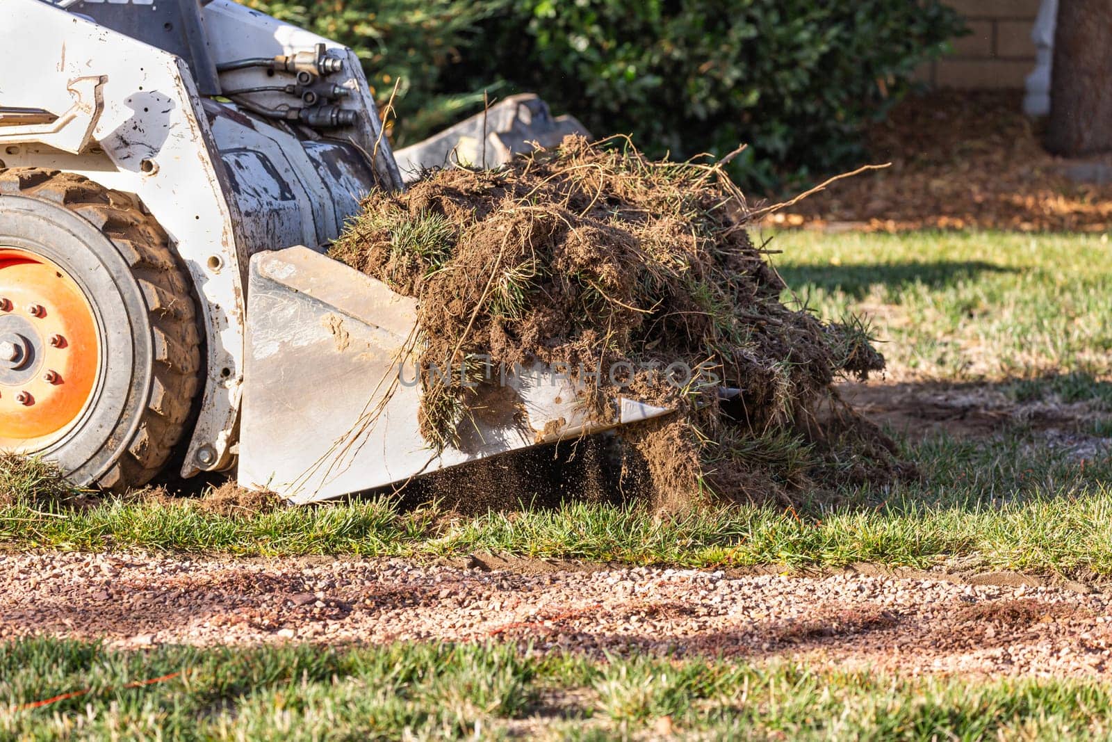 Small Bulldozer Removing Grass From Yard Preparing For Pool Installation.
