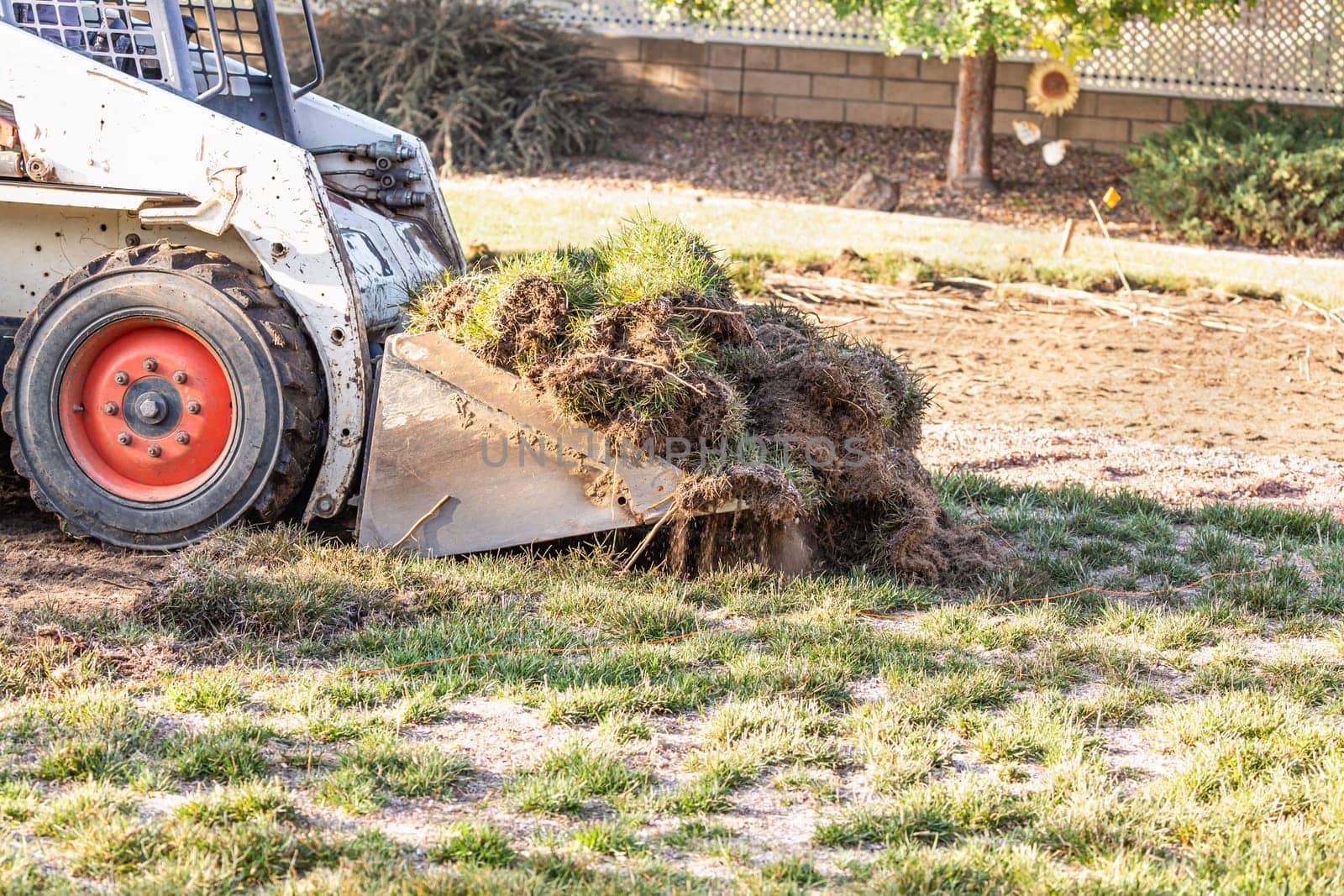 Small Bulldozer Removing Grass From Yard Preparing For Pool Installation.