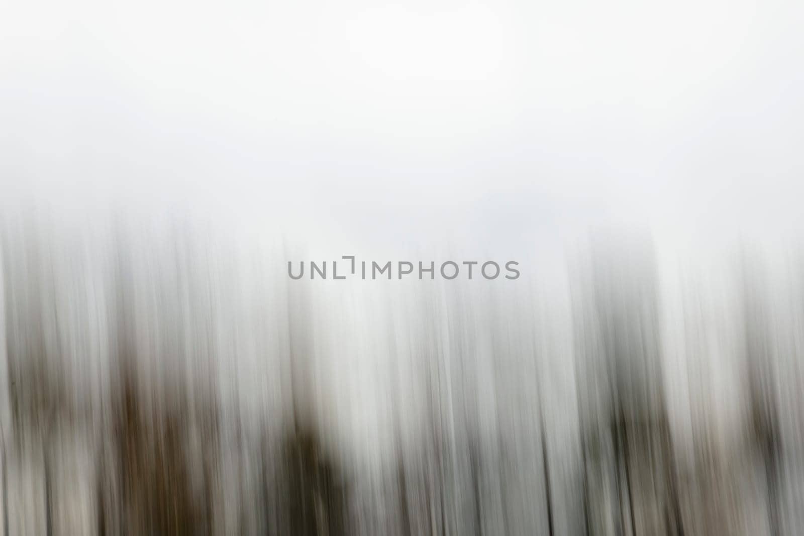 Motion blurred foliage and trees in autumn