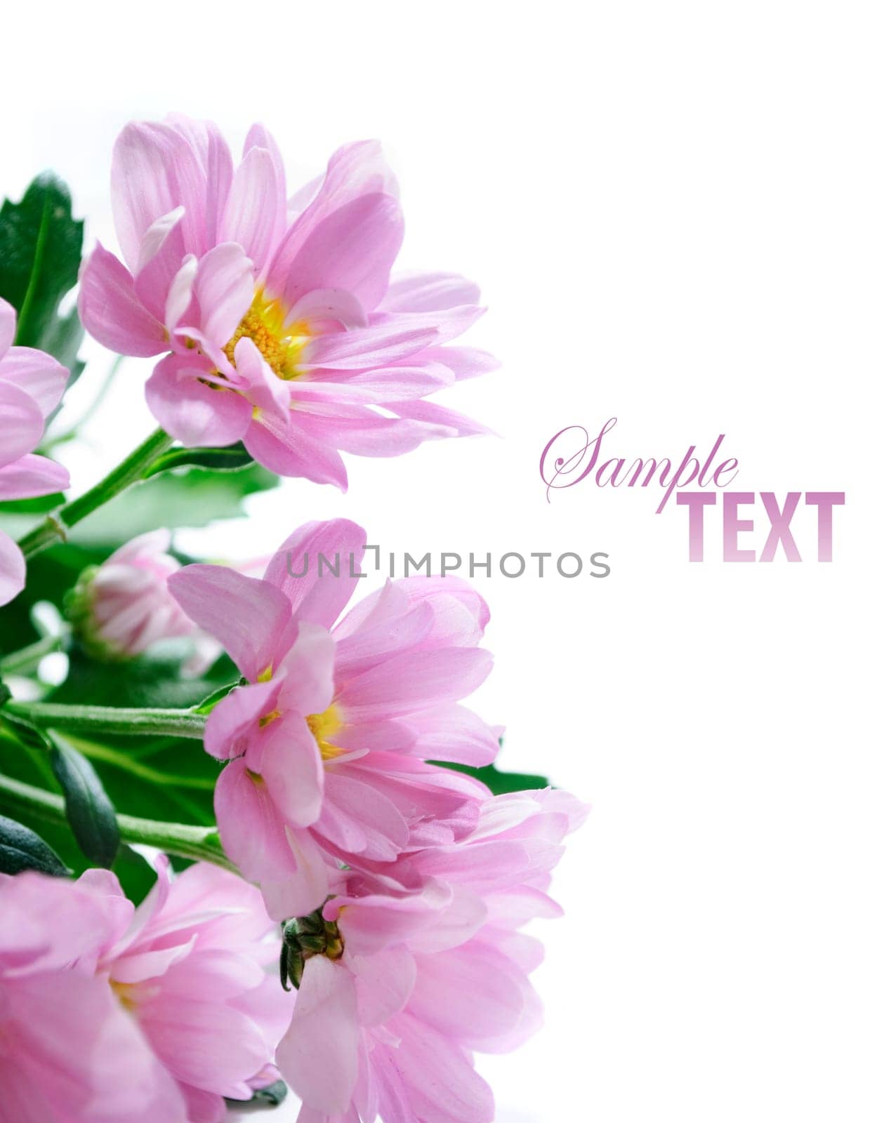 Flower bouqet isolated over white background
